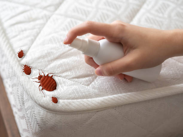 Best Pest Prevention Services  in Duson, LA